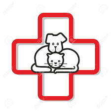 Clinica Veterinaria